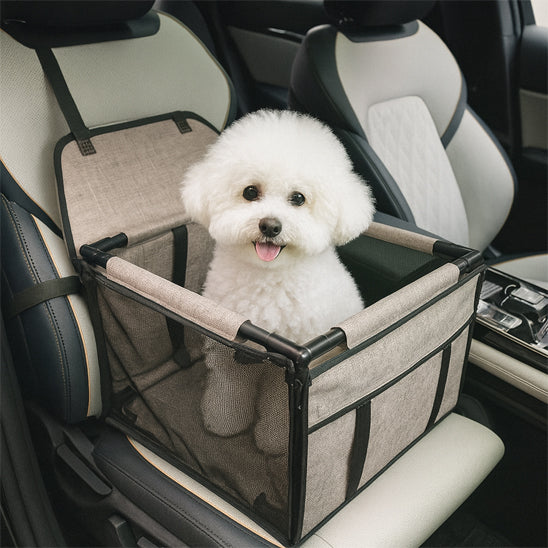 petit chien dans siege auto pour chien café