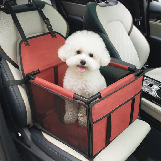 petit chien dans siege auto pour chien rouge