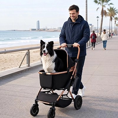 poussette à chien respirante voyage pratique