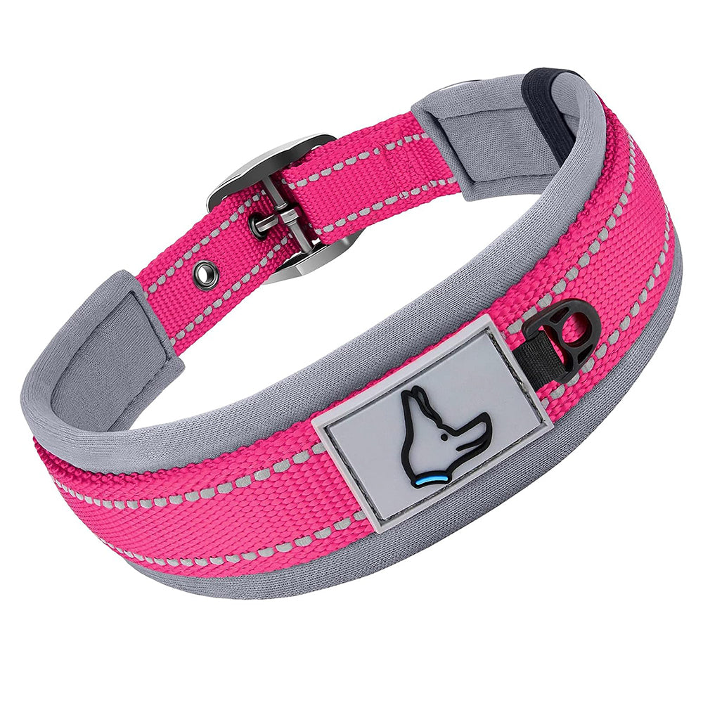 Collier pour Chien | Robuste et Confortable