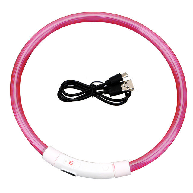 Collier lumineux chien | Rechargeable 500m