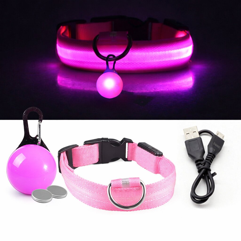 Collier lumineux pour chien | Sécurité Nocturne