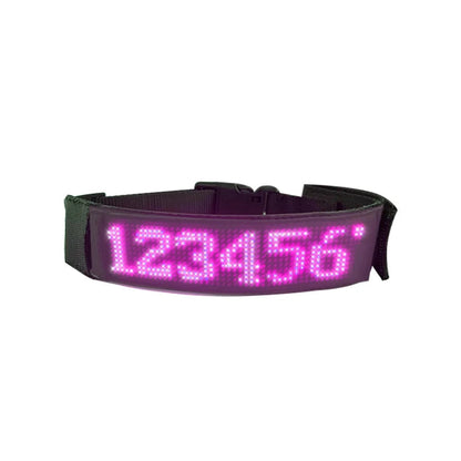 Collier lumineux chien | Rechargeable