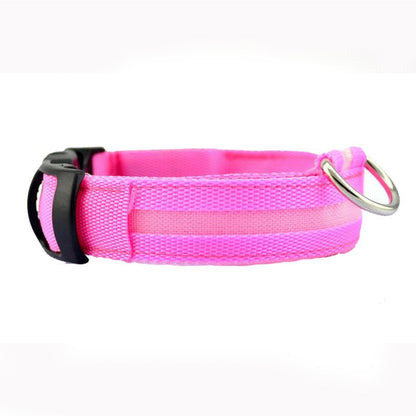 Collier lumineux pour chien | Visibilité et Sécurité