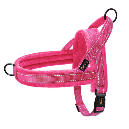 Harnais pour chien | Confort Premium