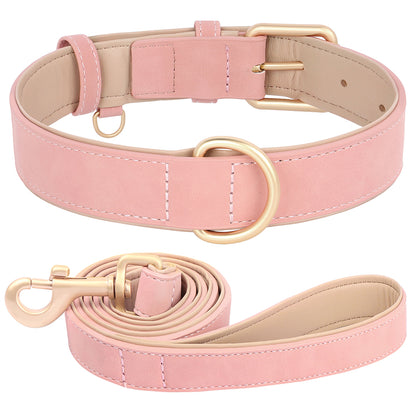 Collier pour chien cuir | Ajustable et Résistant
