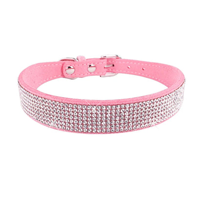 Collier pour chien | Résistant & Confortable