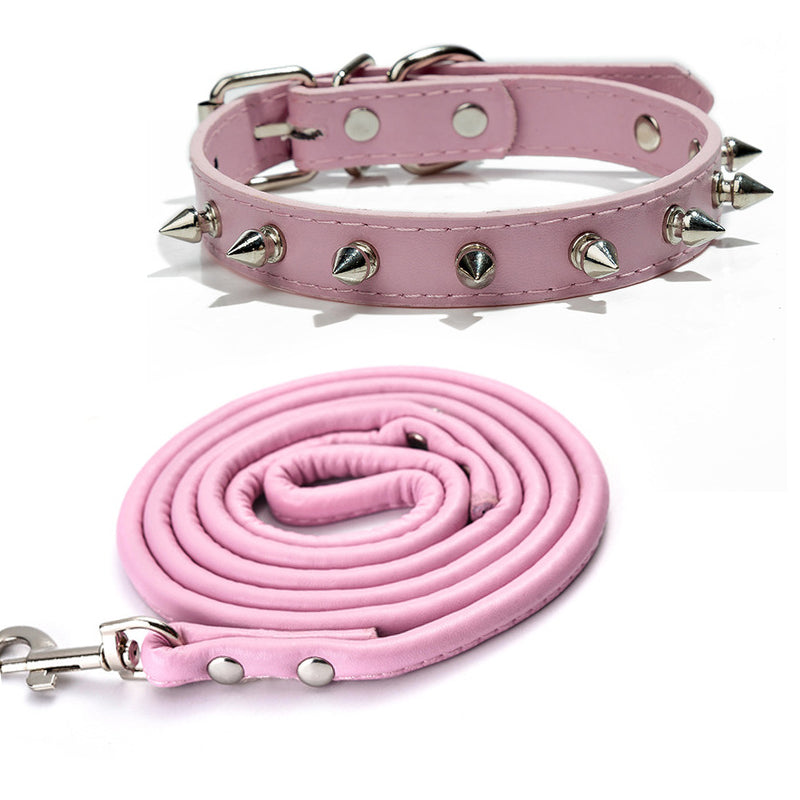 Collier en cuir pour chien | Confort et Solidité