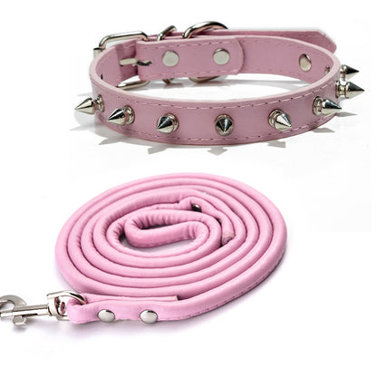 Collier en cuir pour chien | Confort et Solidité