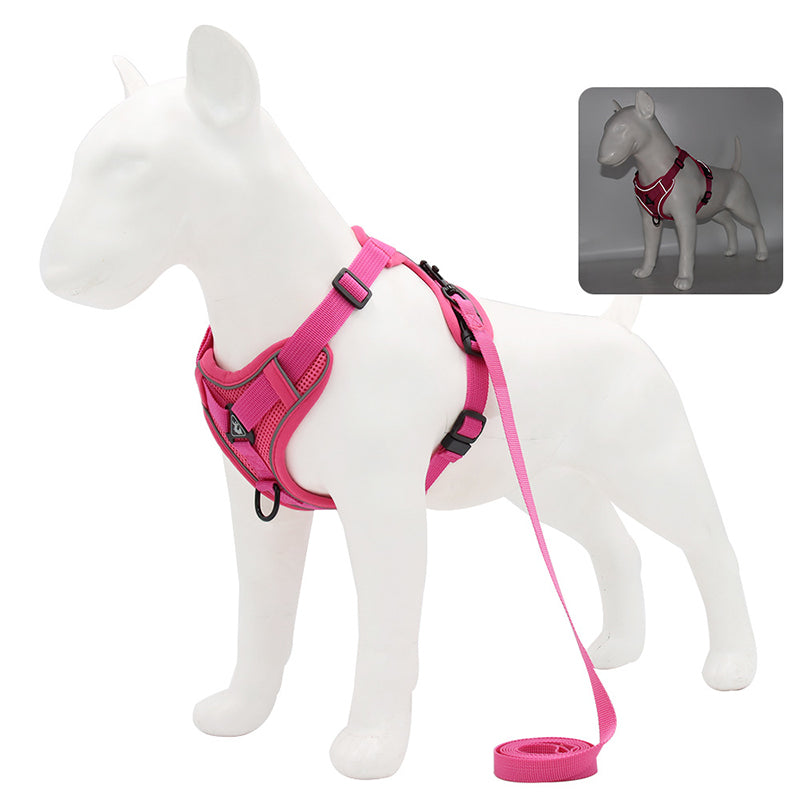 Harnais anti traction pour chien | Confort Anti-Traction