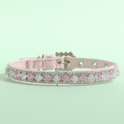 Collier pour Chiot | Robuste et Confortable
