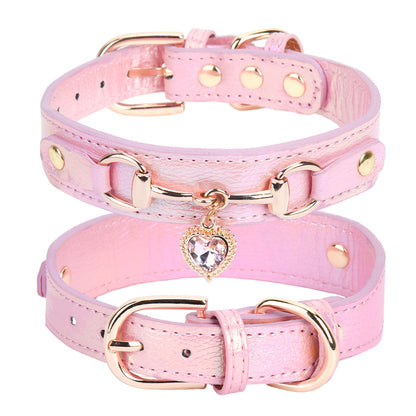Collier Chien Cuir | Résistant et Confortable