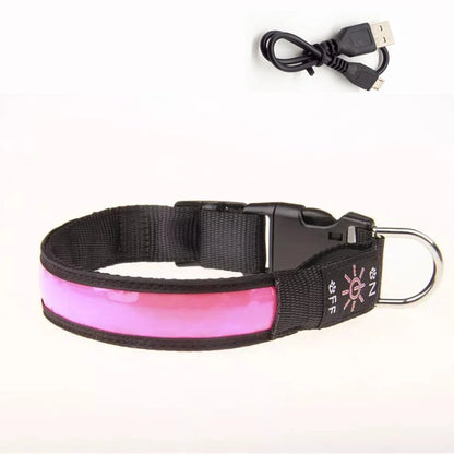 Collier lumineux rechargeable chien | Visibilité 500m