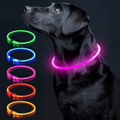 Collier chien lumineux rechargeable | LED Haute Visibilité
