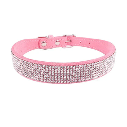 Collier pour Chien en Cuir | Résistant et Confortable