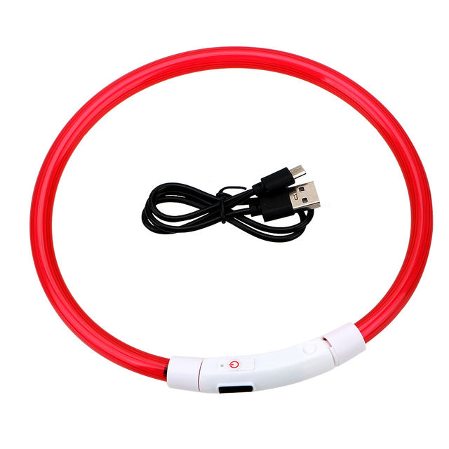 Collier lumineux chien | Rechargeable 500m