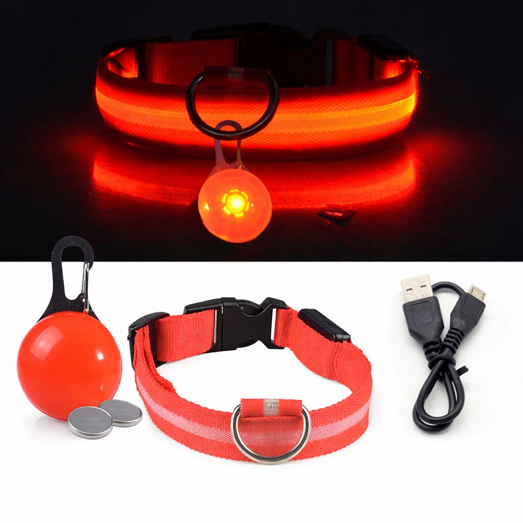 Collier lumineux pour chien | Sécurité Nocturne