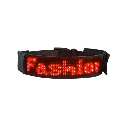 Collier lumineux chien | Rechargeable