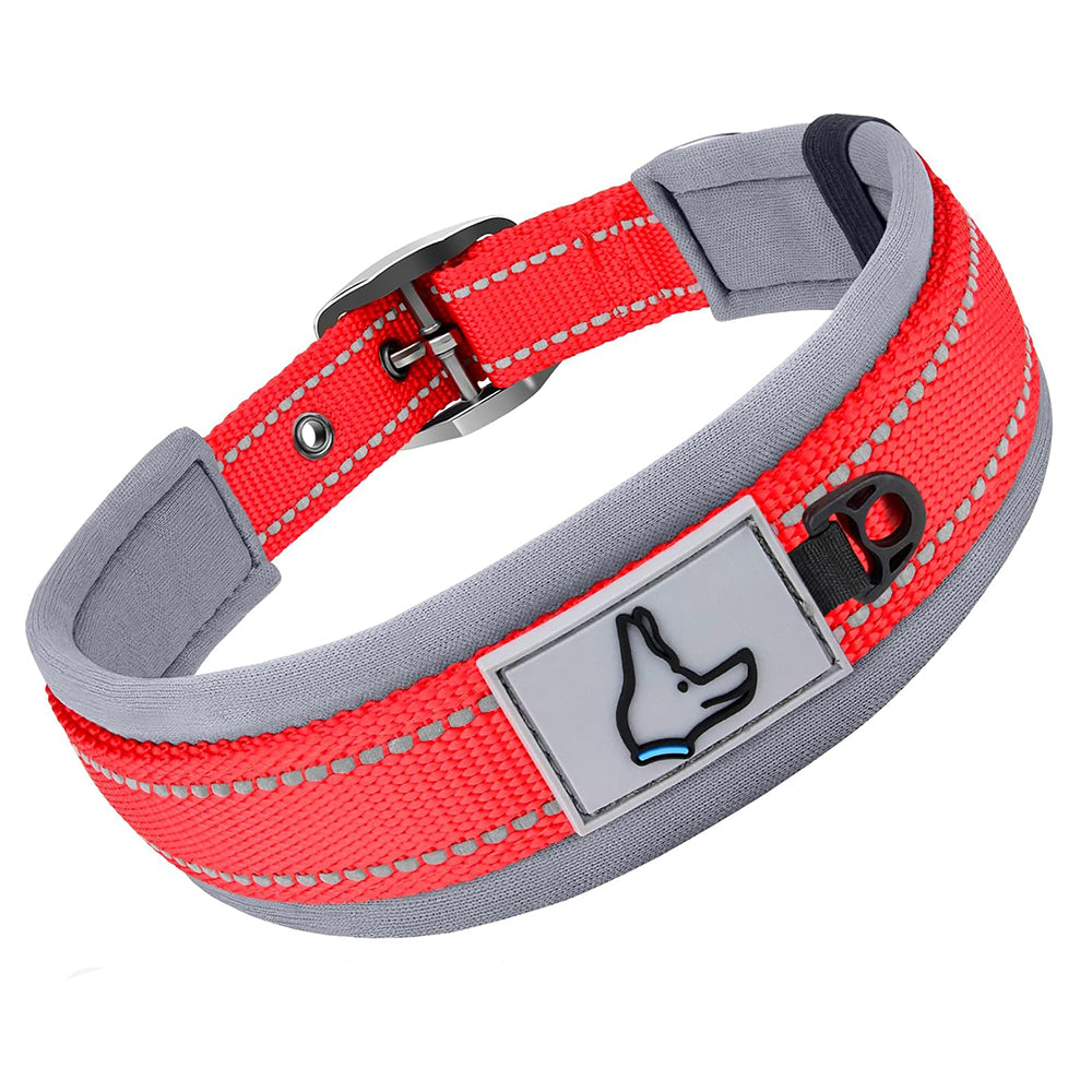 Collier chien | Confortable et Sécurisé