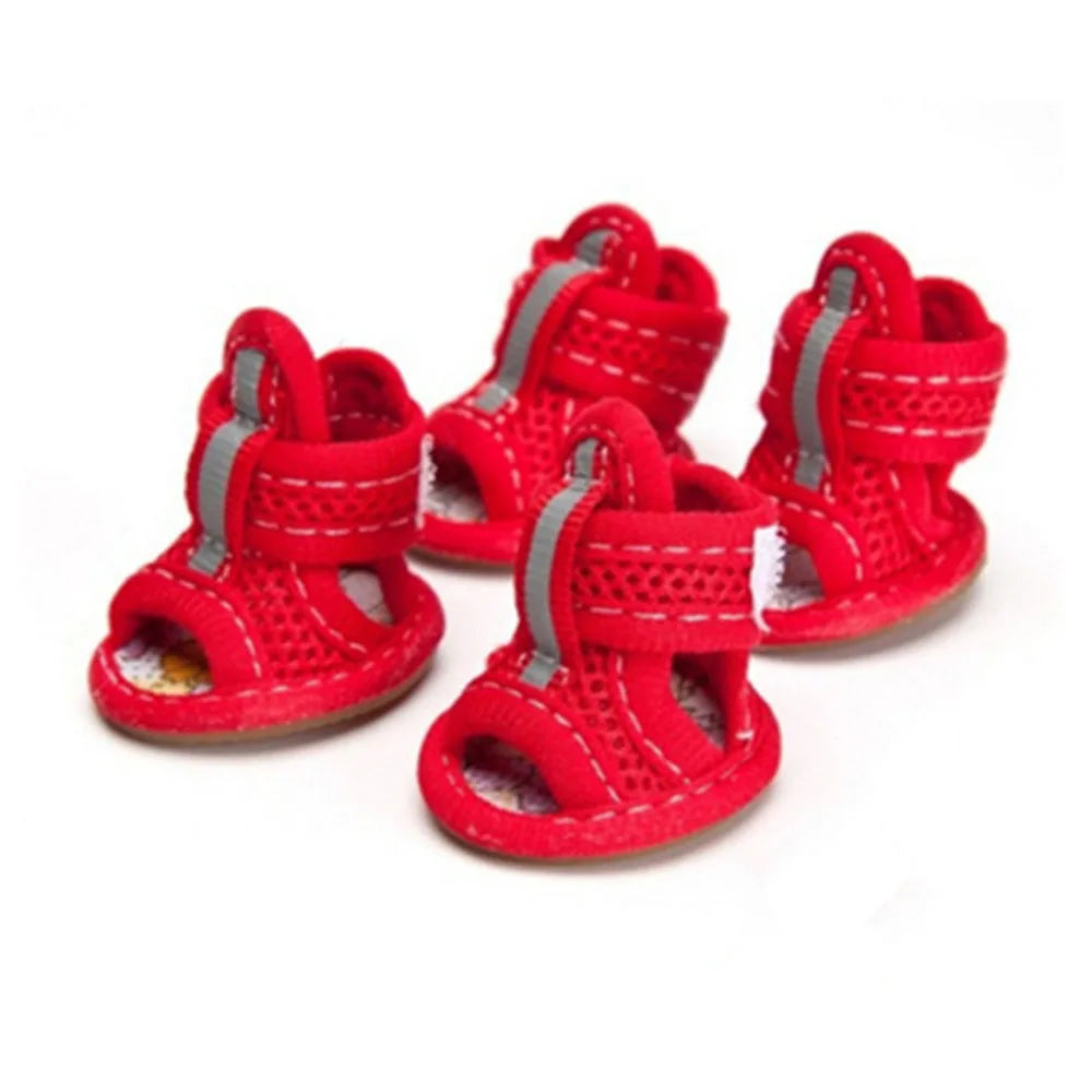 Chaussures chien | Confort Antidérapant
