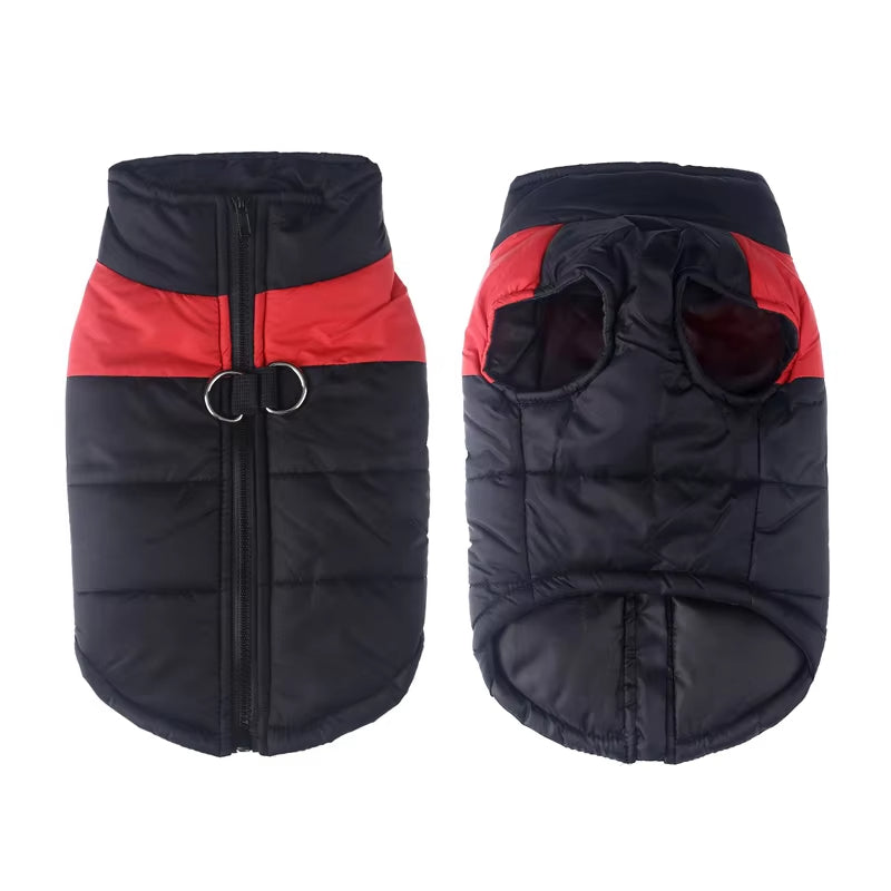 Manteau Chien | Confort Hiver