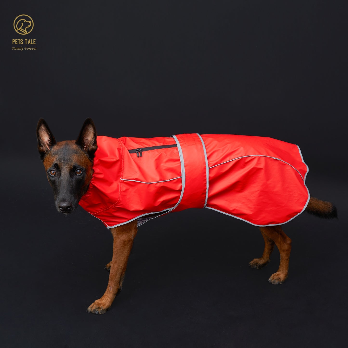 Imperméable chien | Protection Optimale