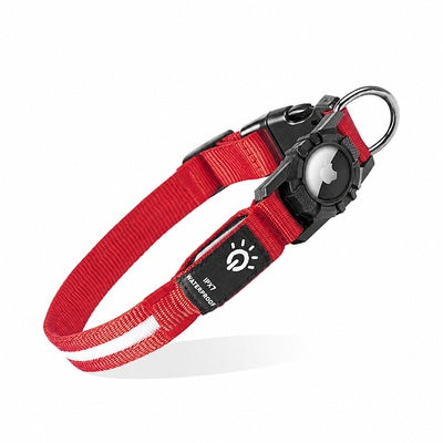 Collier lumineux pour chien rechargeable | Sécurité 360