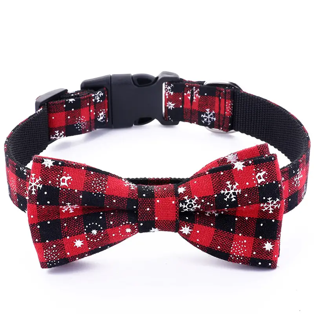 Collier chien | Solide et Confortable