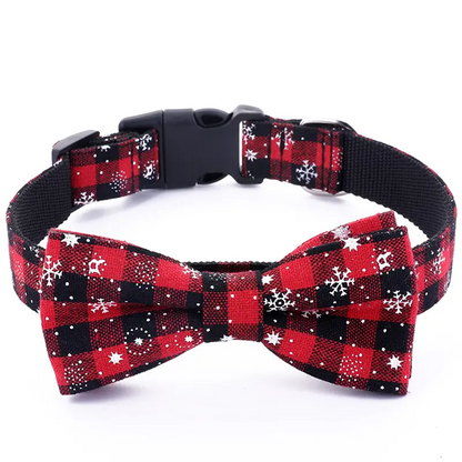 Collier chien | Solide et Confortable