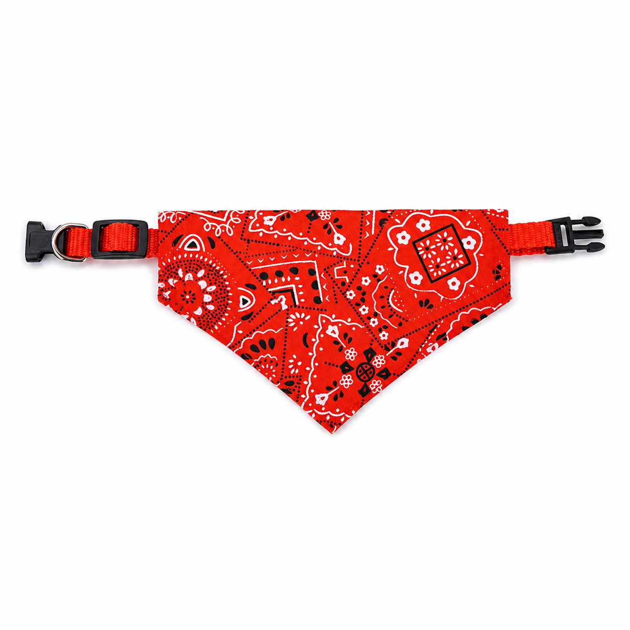Collier pour chien | Léger et Résistant
