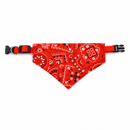 Collier pour chien | Léger et Résistant