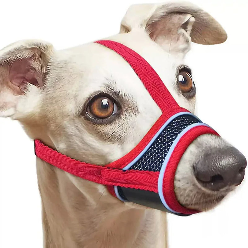 Muselière pour chien | Confortable et Sécurisée
