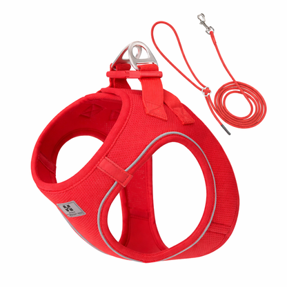 Harnais chiot | Confort Ajustable