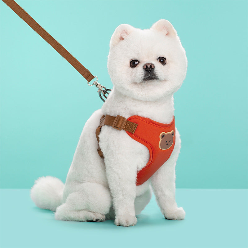 Harnais pour petit Chien | Confort Quotidien