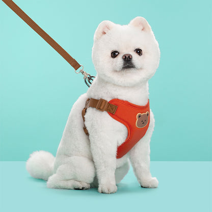 Harnais pour petit Chien | Confort Quotidien