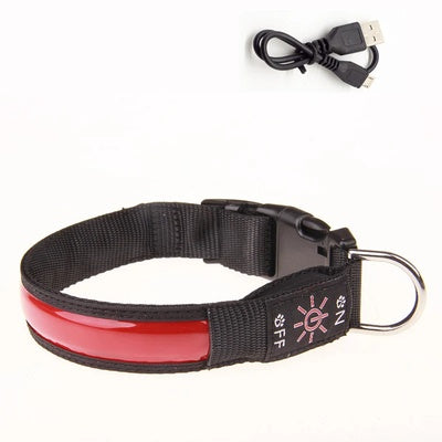 Collier lumineux pour chien rechargeable USB | Sécurité