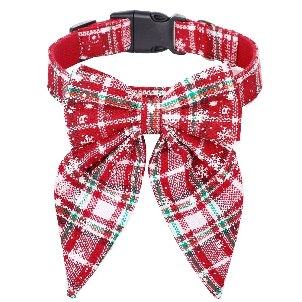 Collier pour Chien | Résistant et Confortable