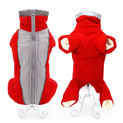 Manteau Chien Hiver | Imperméable