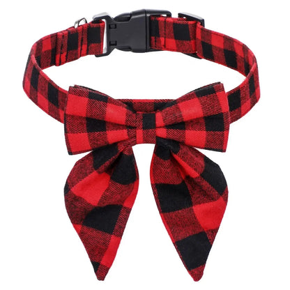 Collier pour Chien | Résistant et Confortable