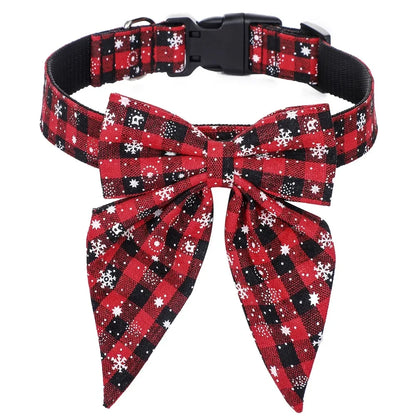 Collier pour Chien | Résistant et Confortable