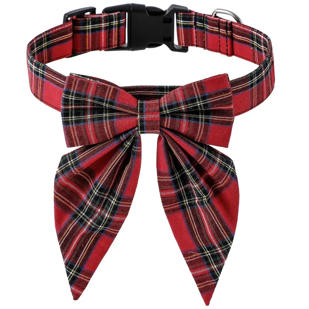 Collier Chien | Résistant Ajustable