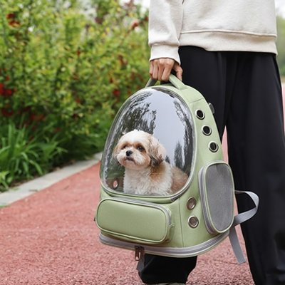 sac a dos chiens petit compagnon