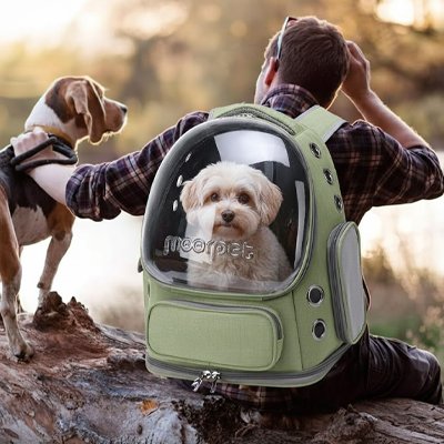 sac a dos chiens randonnée pratique