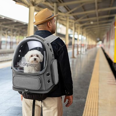 sac a dos chiens transport confortable