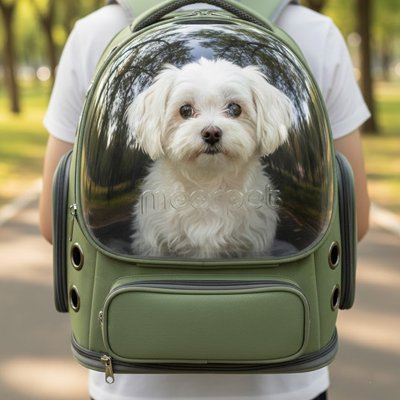 sac a dos chiens voyage respirant