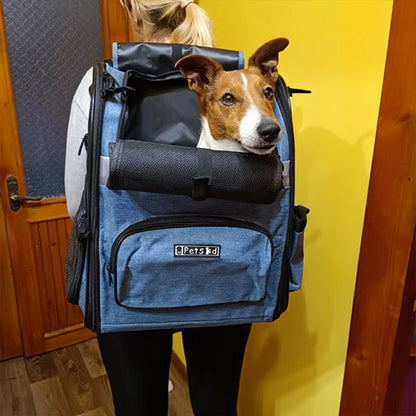 sac a dos pour chien ouverture arrière