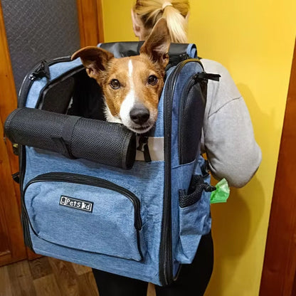 sac a dos pour chien porté sur dos