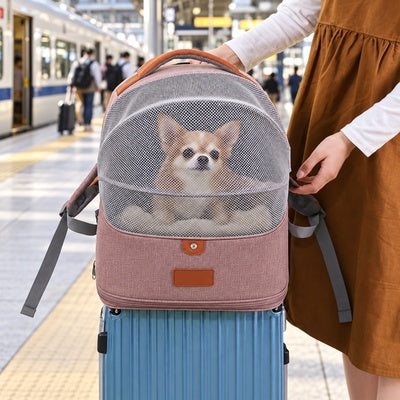 sac a dos pour transporter chien en gare 