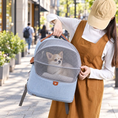 sac a dos transport chien sortie ville