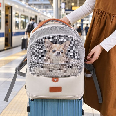 sac a dos transport chien voyage train